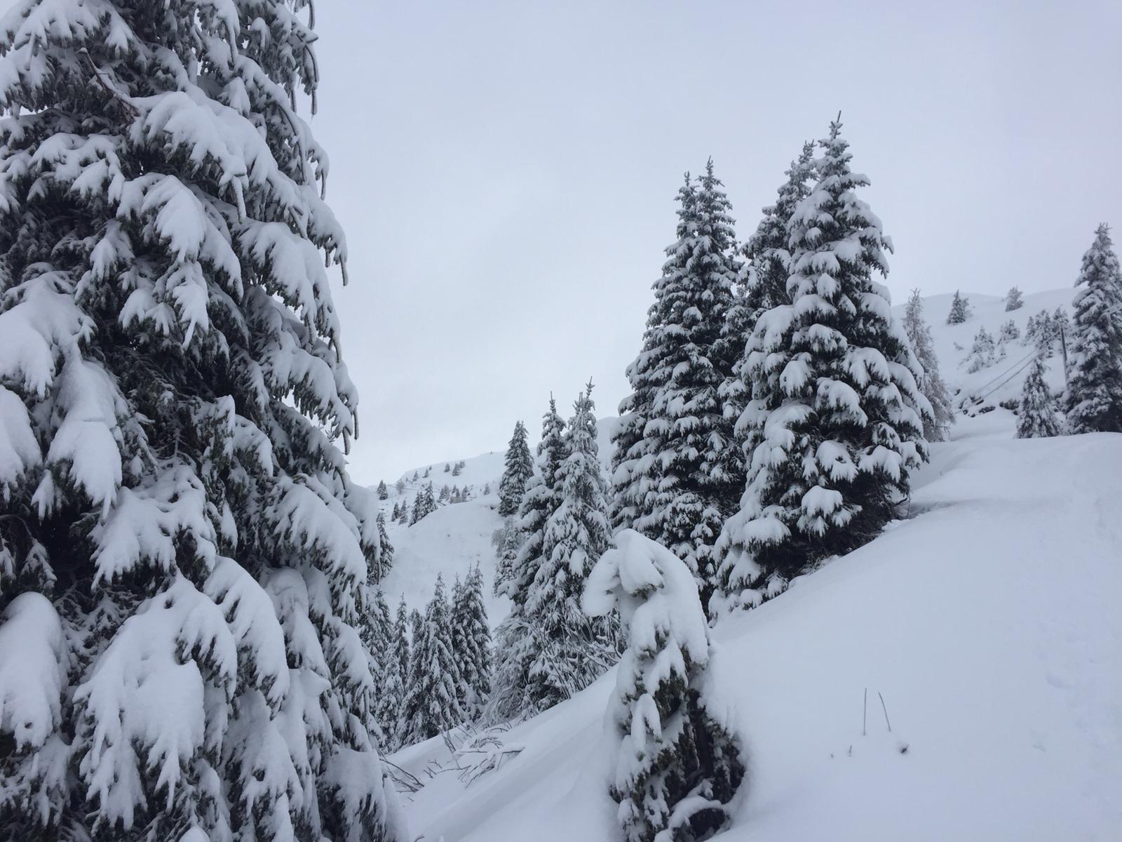 azienda agricola montagna vacanza neve